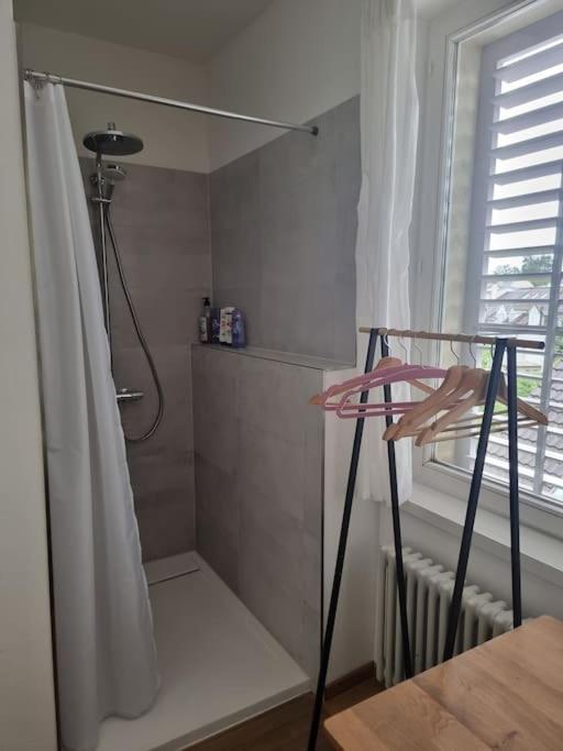New Tiny 2 Near Uni & Hospital * Basel
